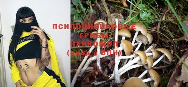молекула духа Дмитров