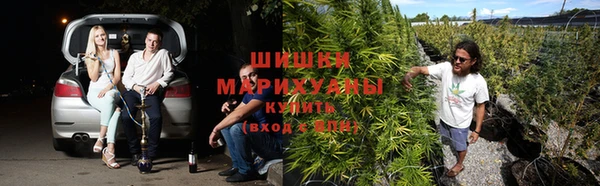 молекула духа Дмитров