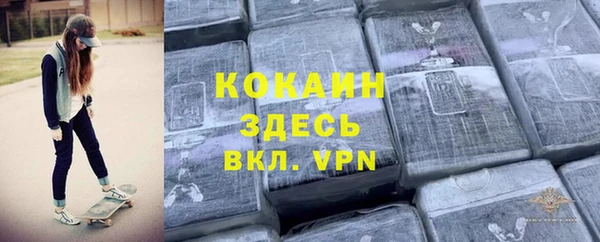 молекула духа Дмитров