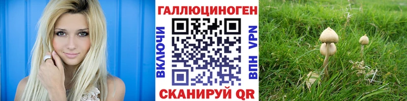 Псилоцибиновые грибы GOLDEN TEACHER  Купить закладки  Красноармейск 